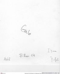 Historisches Foto (Rückseite) von Galatheoidea indet. (NHMW-AFW-GEO-BACHMAYER-FOTO-1990-0041-1668)